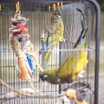 4 Couples Hostel *