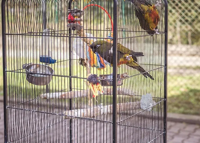 4 Couples Auberge de jeunesse Cracovie